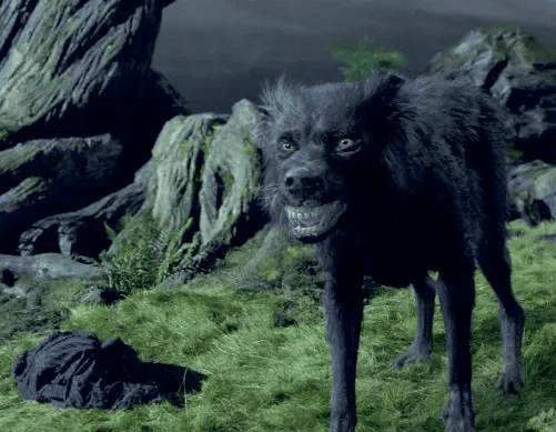 Sirius Black (still from Harry Potter and The Prisoner of Azkaban) - Warner Bros. Pictures