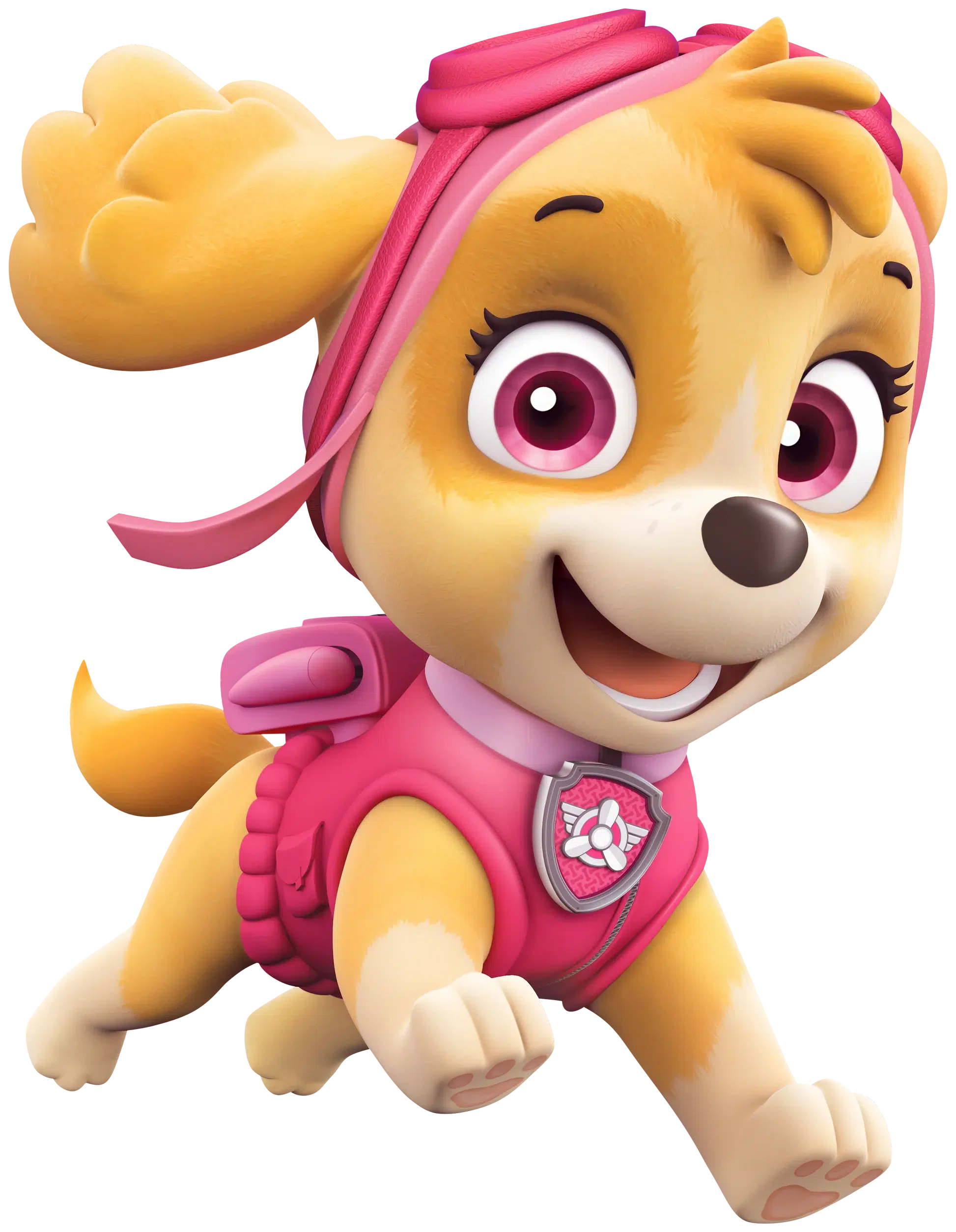 Skye Paw Patrol Guru Animation Studio Ltd., Spin Master Ltd.