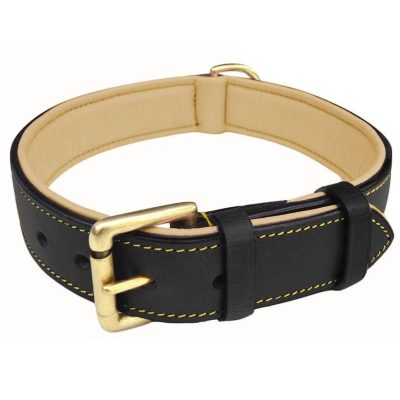 Soft Touch Collars Leather Dog Collar