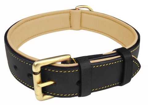 Soft Touch Collars Leather Two-Tone Padded Dog Collar