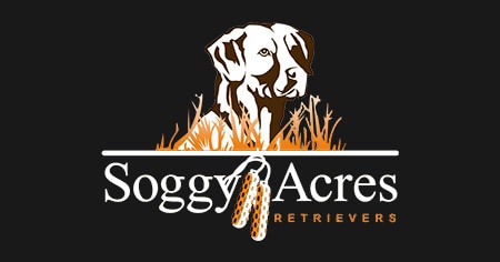 Soggy Acres Retrievers