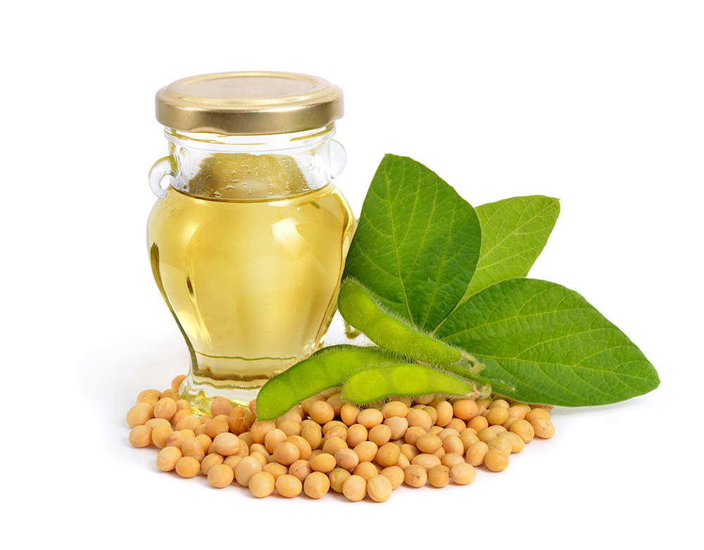 Soybean oil in a bottle with green pods and leaves