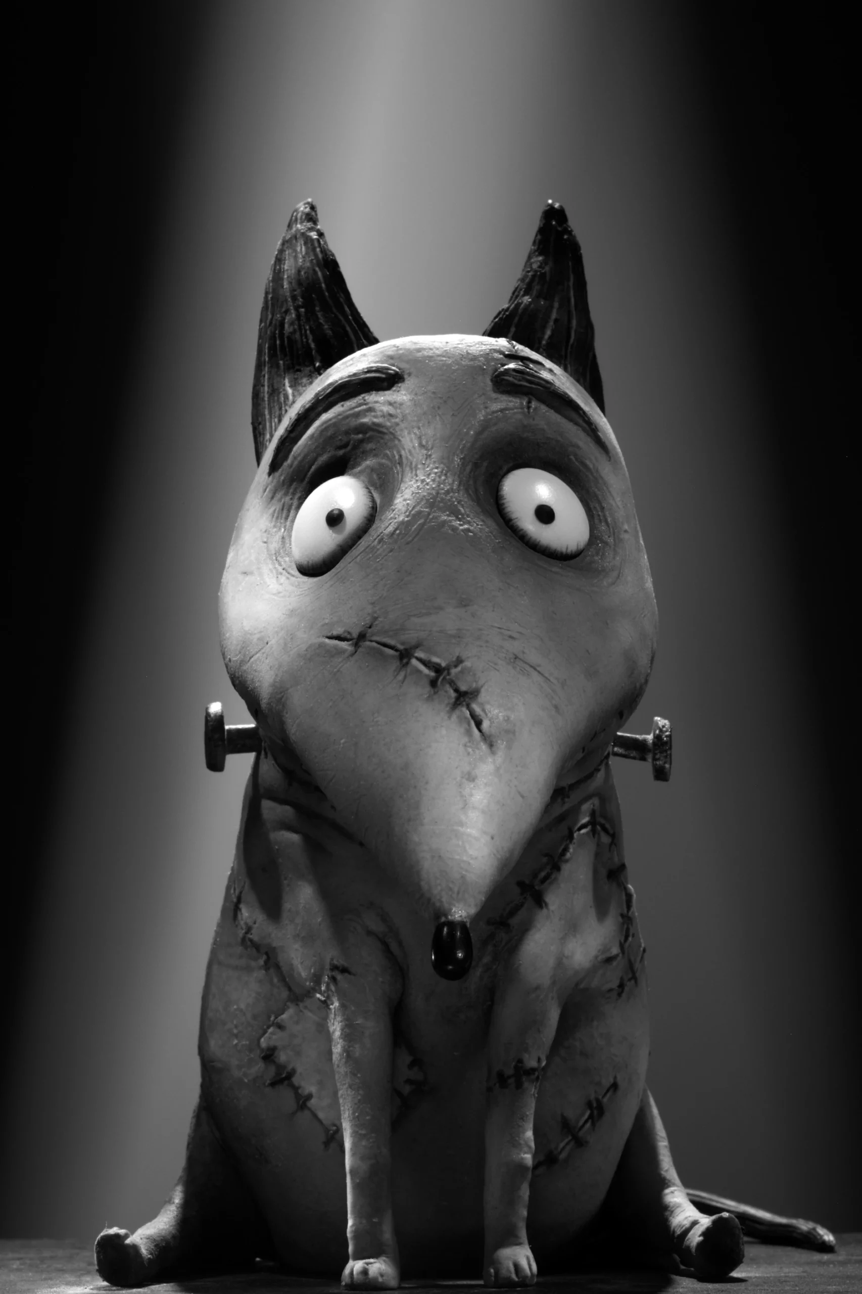 Sparky from the movie Frankenweenie