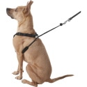 Sporn No-Pull Dog Harness
