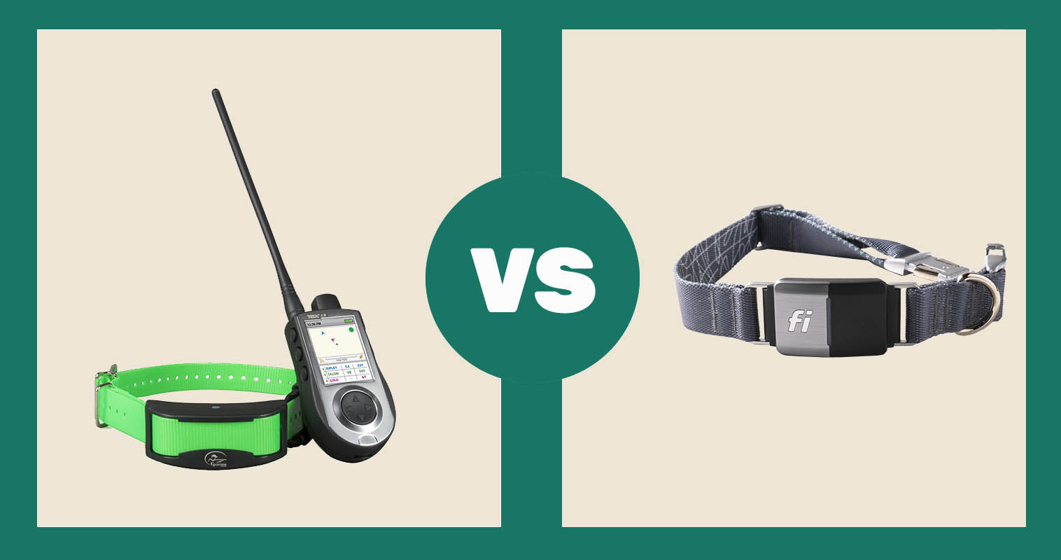 SportDOG TEK Series 1.5 GPS Dog Tracking & Training System & Collar vs Fi Dog Collar