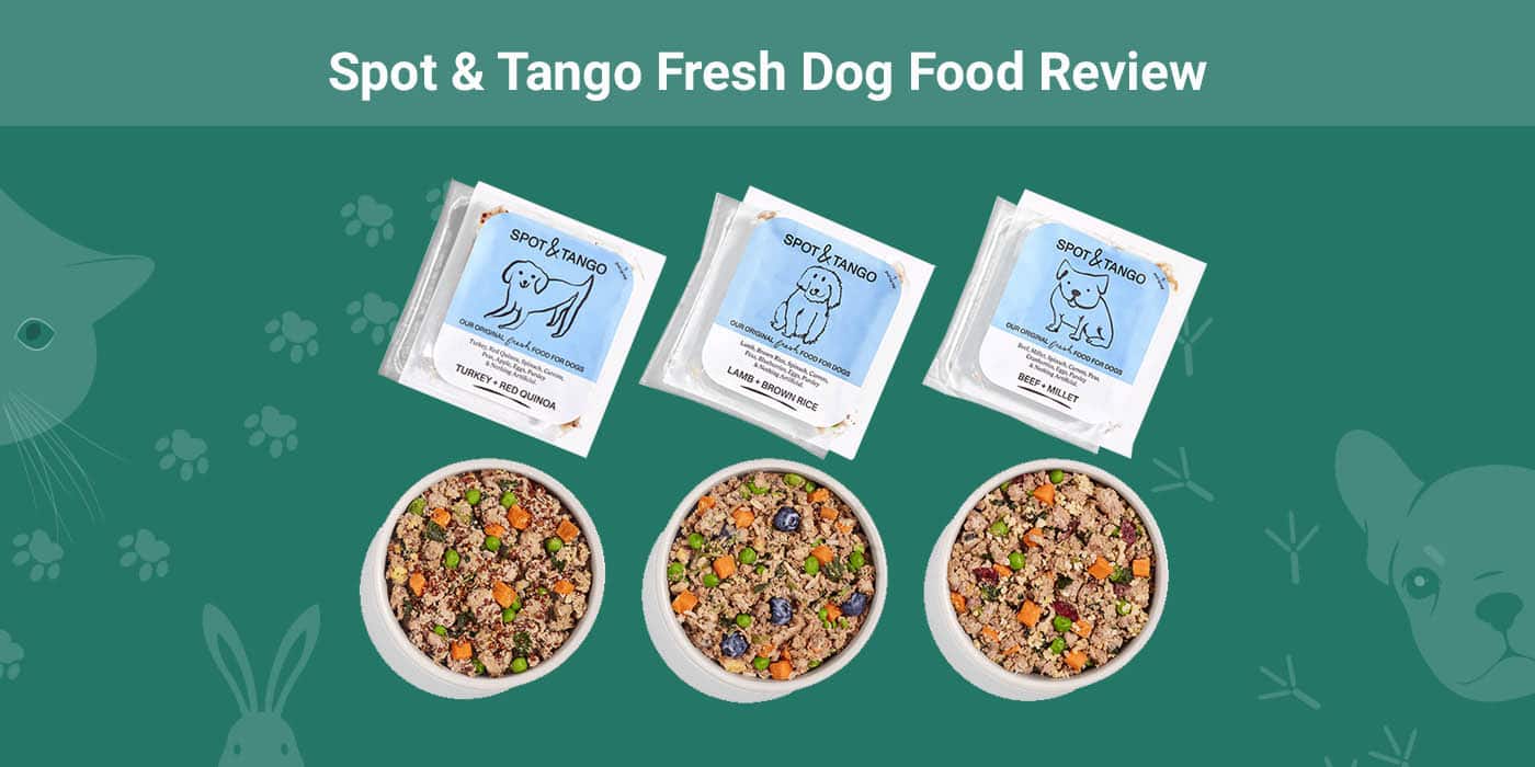Spot & Tango Fresh Dog Food Review