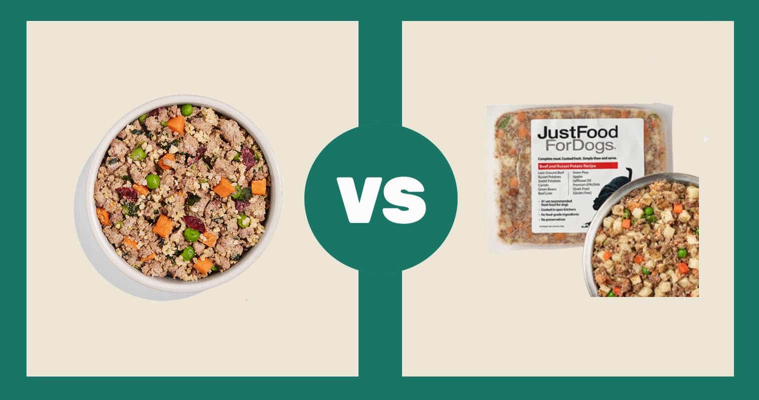 Spot-and-Tango-vs-Just-for-Dogs-Beef-comparison