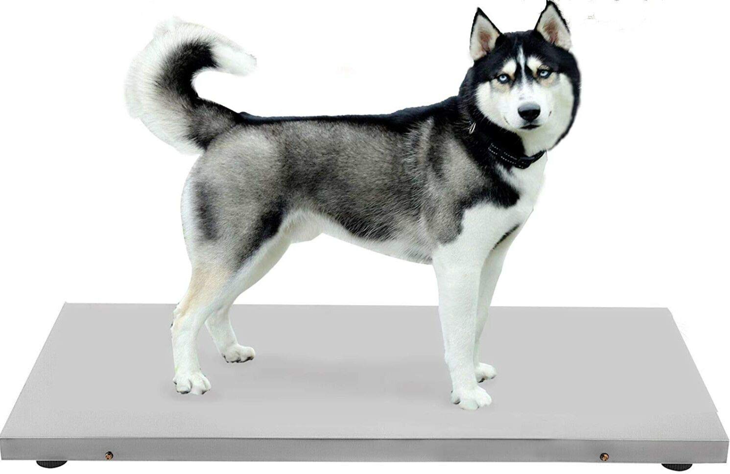 Spritool 660LB Large Platform Digital Pet Scale