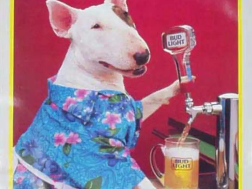 Spuds MacKenzie serving Bud Light Beer Bud Light, Anheuser-Busch Companies, LLC.