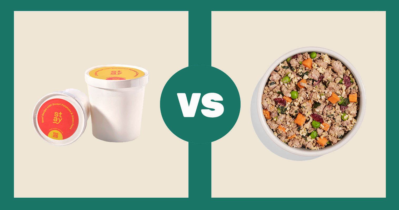 Stay-Fresh-Dog-Food-Subscription-Service-Beef-Recipe-vs-Spot-and-Tango-Dog-Food-Beef-Recipe