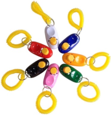SunGrow Clickers with Wrist Band