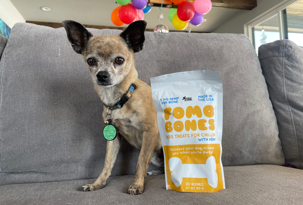 Sunday Scaries FOMO Bones - papyrus sitting adjacent  to the merchandise  connected  couch