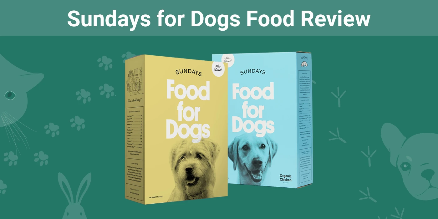 Sundays for Dogs Food - Featured Image