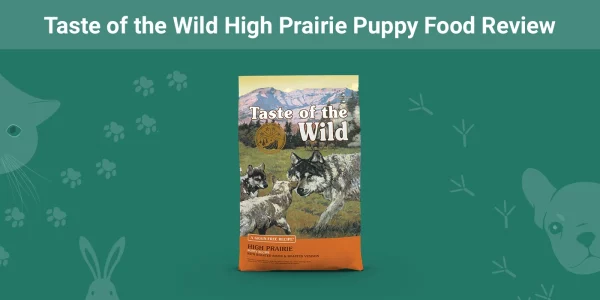 Taste of the Wild High Prairie Puppy Food - Featured Image