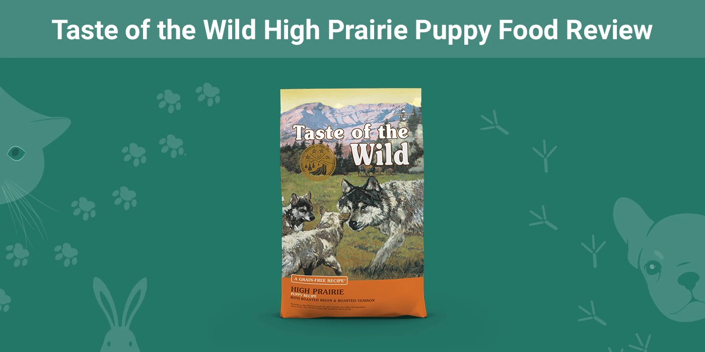 Taste of the Wild High Prairie Puppy Food - Featured Image
