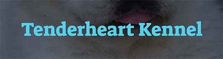 Tenderheart Kennel
