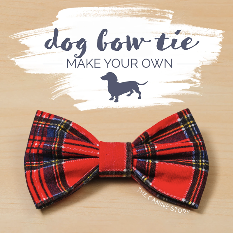 The Canine Story DIY Dog Bow Tie