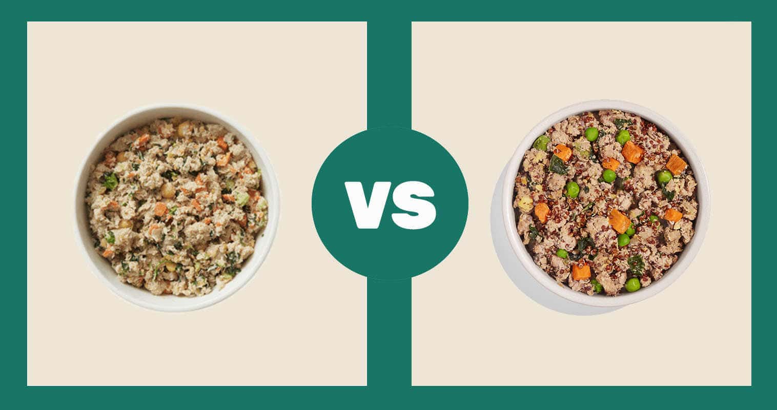 The-Farmers-Dog-Fresh-Food-Turkey-Recipe-vs-Spot-Dog-Food-and-Tango-Turkey-Red-Quinoa-