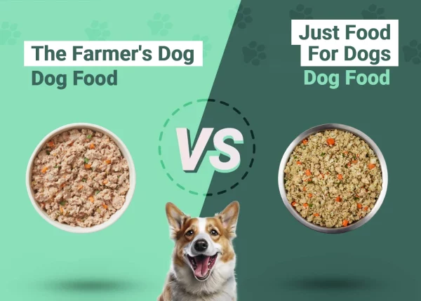 The Farmer's Dog vs JustFood ForDogs Dog Food - Featured Image