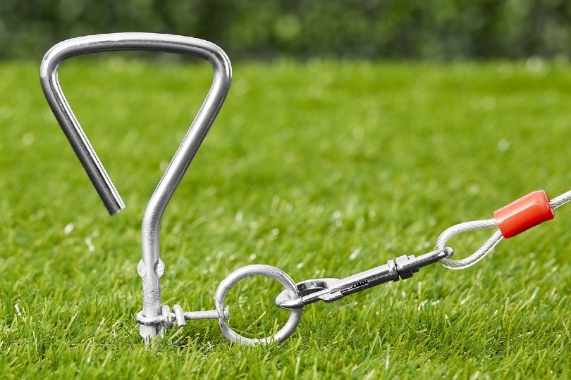 Tie-Out and Stake