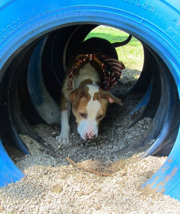 DIY Tire Tunnel