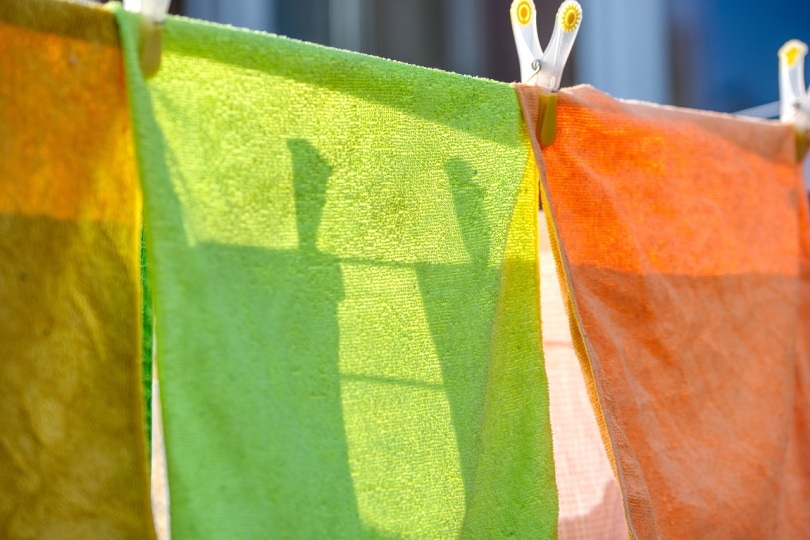 Towels hanging on clothesline to air dry