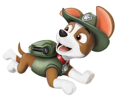 Tracker from Paw Patrol, Guru Animation Studio Ltd., Spin Master Ltd.