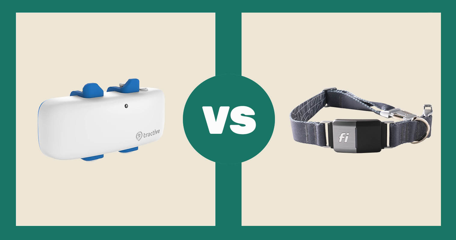 Tractive Dog & Cat GPS Tracker vs Fi Dog Collar