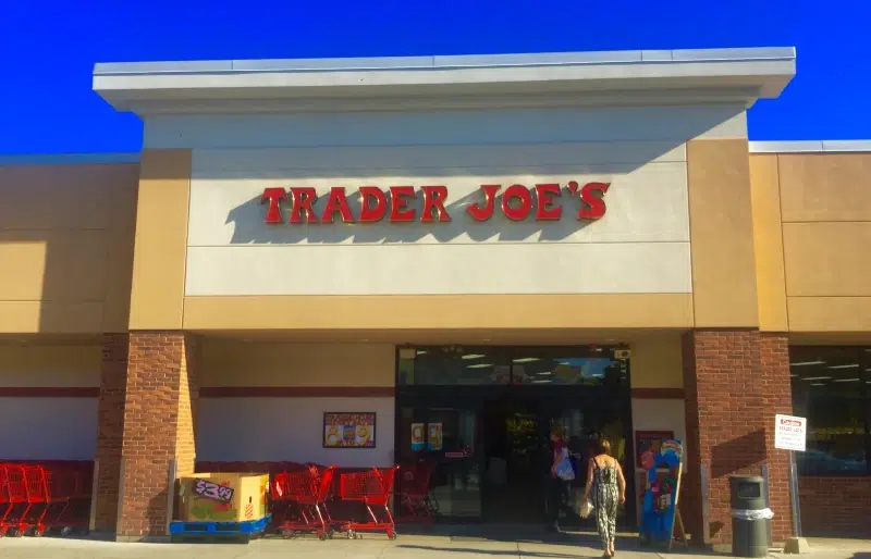 Are Dogs Allowed in Trader Joe's? 2024 Update Dogster