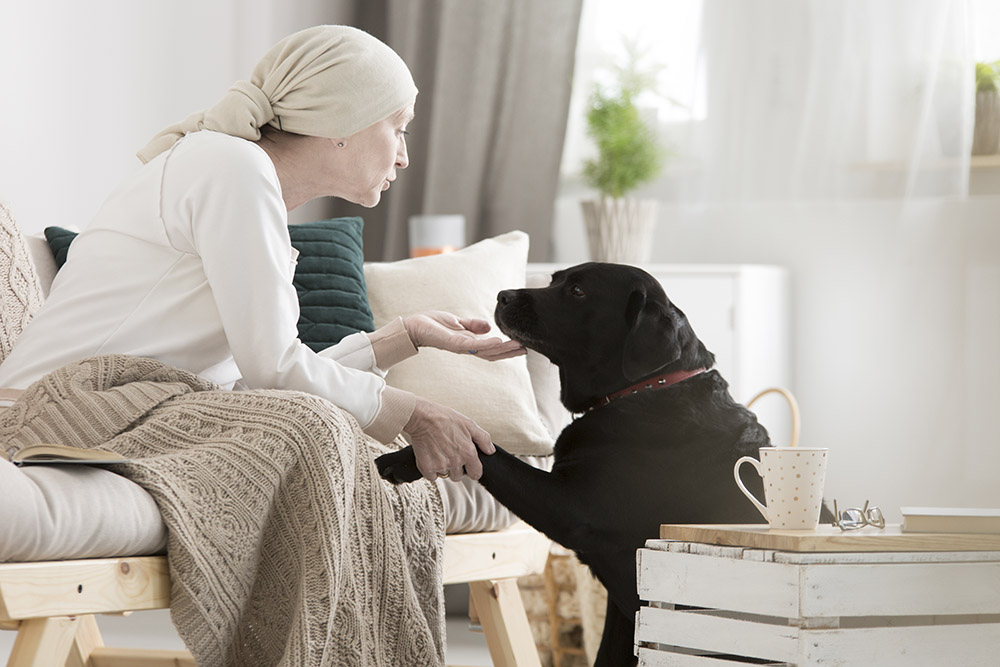 Tumor patient caressing her dog during pet therapy