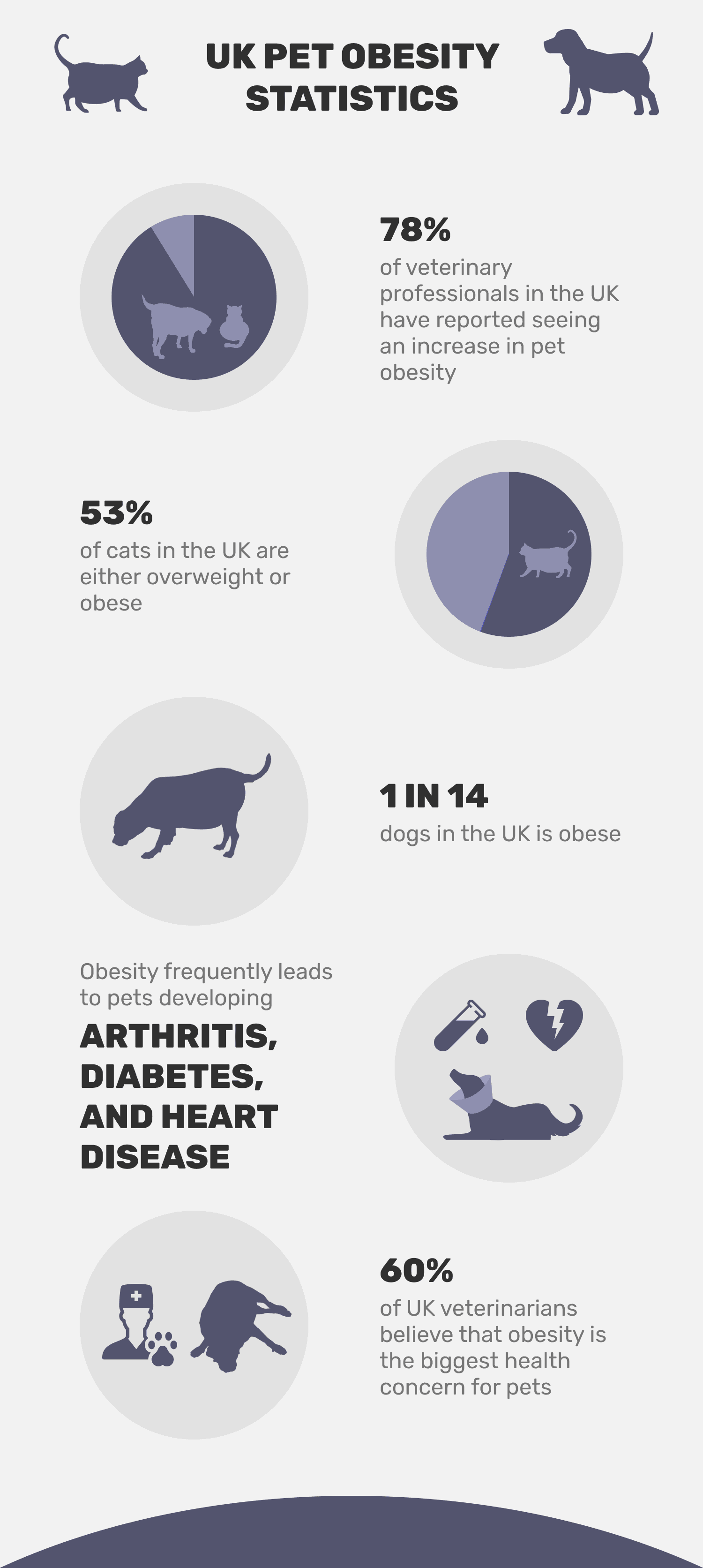 UK pet obesity statistic