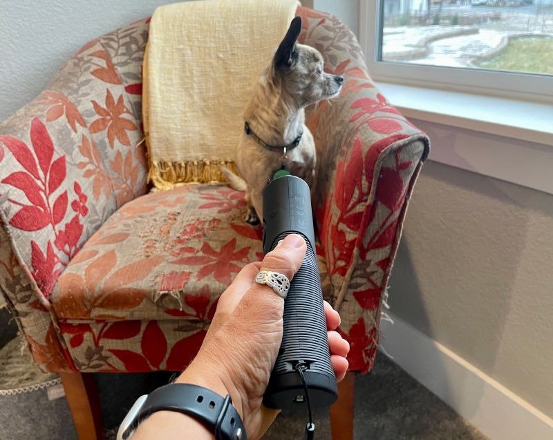 Ultimate Bark Control OnGuard - testing the product on papyrus