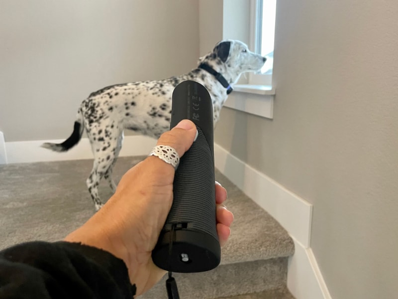 Ultimate Bark Control OnGuard - using the product on ragz