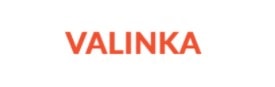 Valinka Labradors