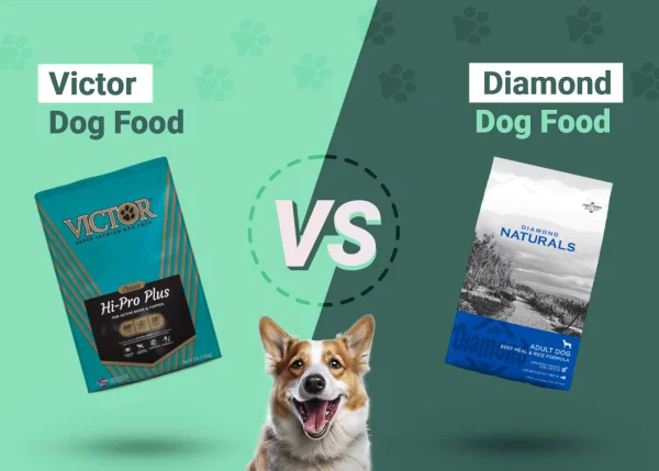 Victor vs Diamond Dog Food - Featured Image