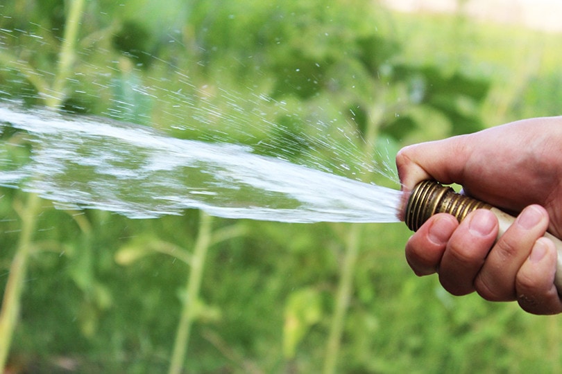 Water Hose