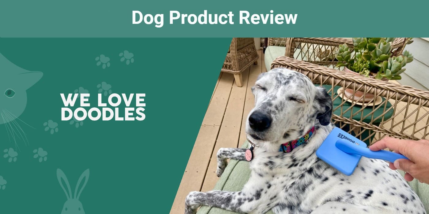 We Love Doodles Slicker Dog Brush Review 2024 An Expert's Breakdown