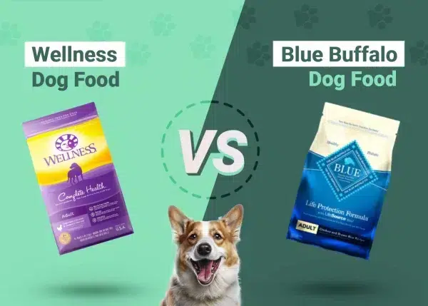 Wellness Dog Food vs Blue Buffalo: Pros, Cons & What to Choose – Dogster
