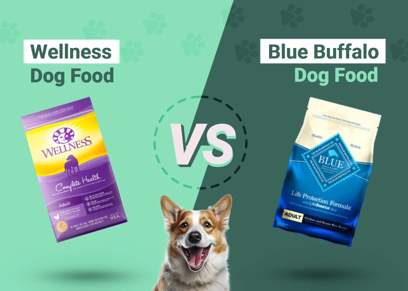 Wellness vs Blue Buffalo Dog Food - Featured Image