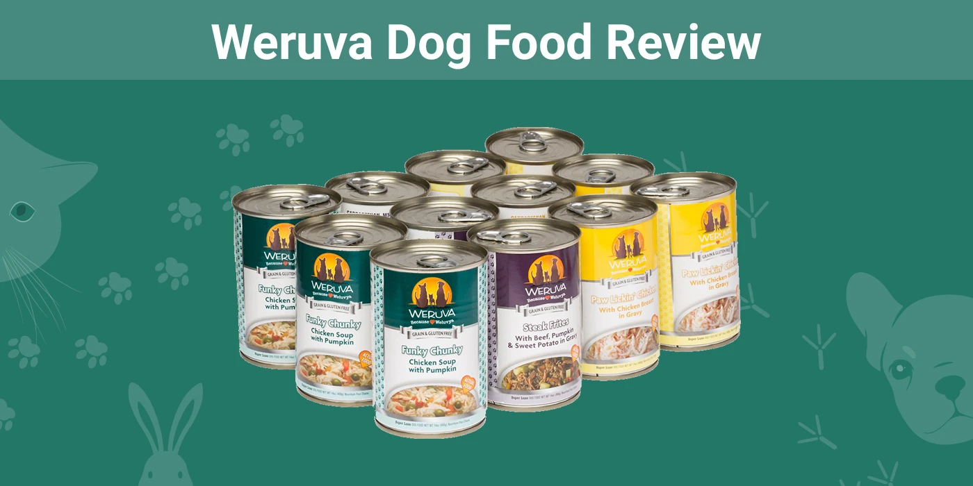 Weruva Dog Food - Featured Image