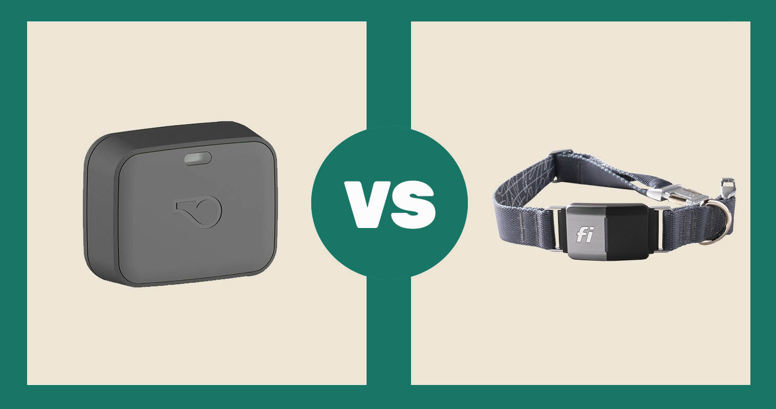 Whistle Go Explore Dog GPS Tracker vs Fi Dog Collar