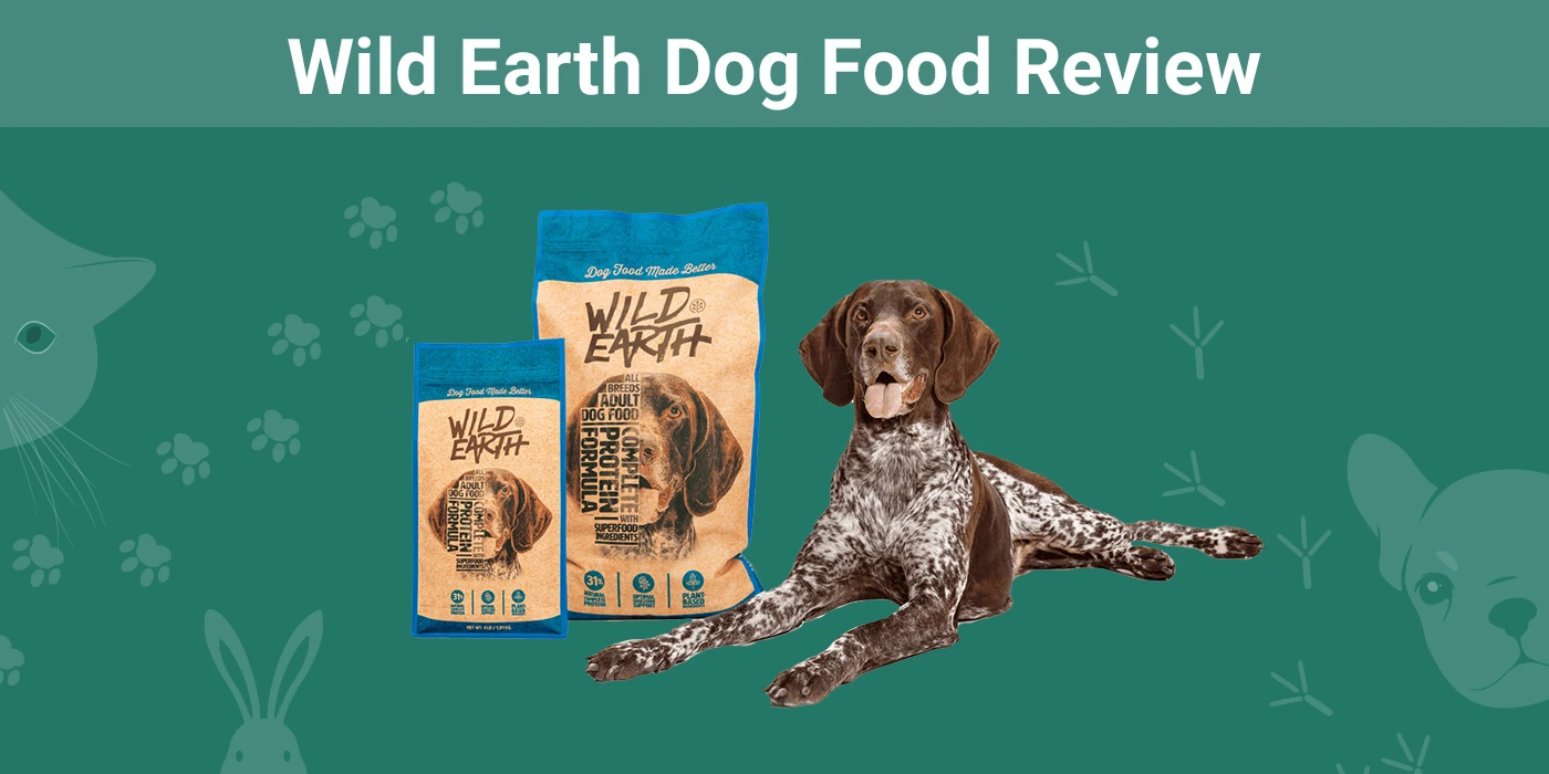 Wild Earth Dog Food - Featured Image