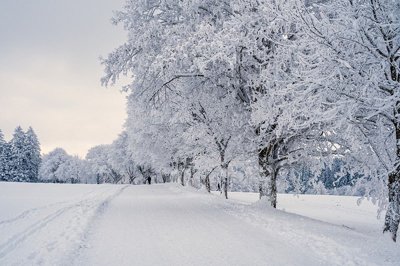 Winter snow