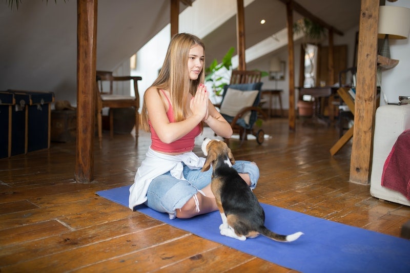 Woman doing yoga with a dog