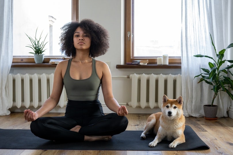 Woman doing yoga with dog