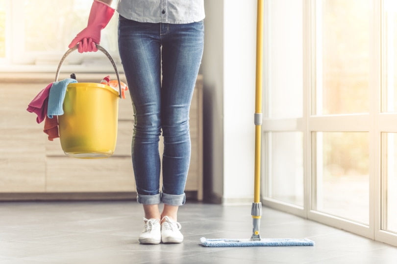 Woman with cleaning materials