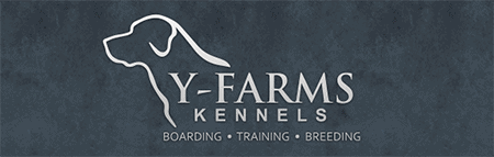Y-Farms
