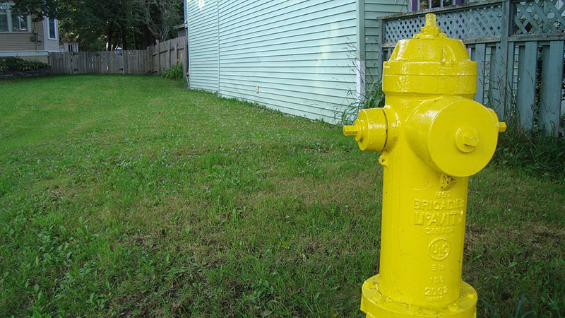 Yellow Fire Hydrant