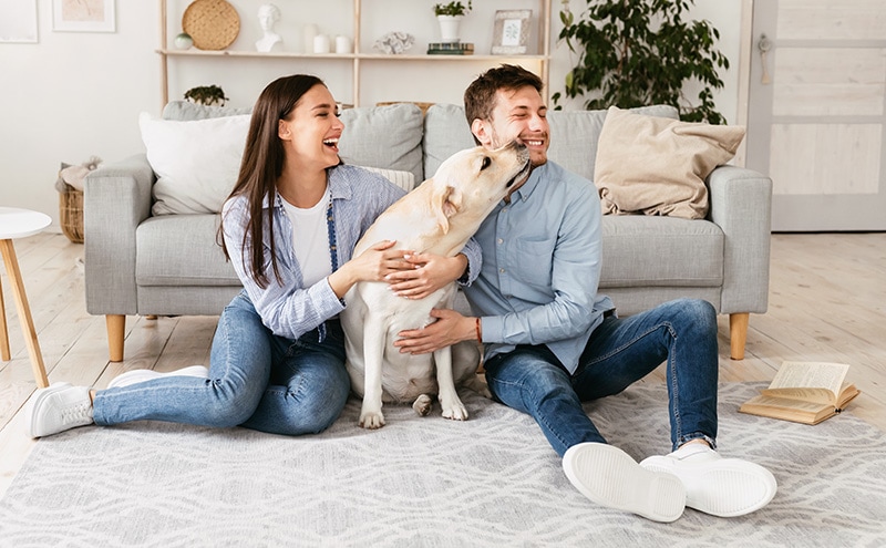 Young loving family playing with dog sitting on the floor