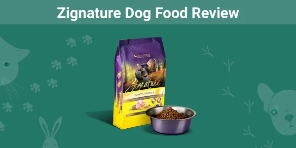 Zignature Dog Food - Featured Image